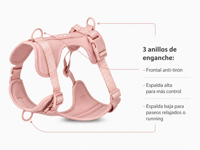 Tres anillos de enganche del arnés Paws