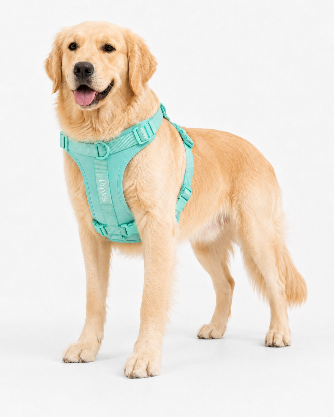 Arnés Paws Verde Agua - perro full body lateral