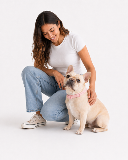 Collar Paws Rosa - modelo y perro lifestyle