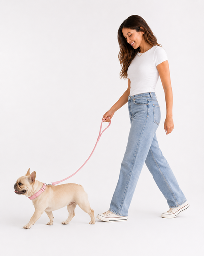 Collar Paws Rosa - caminata con correa