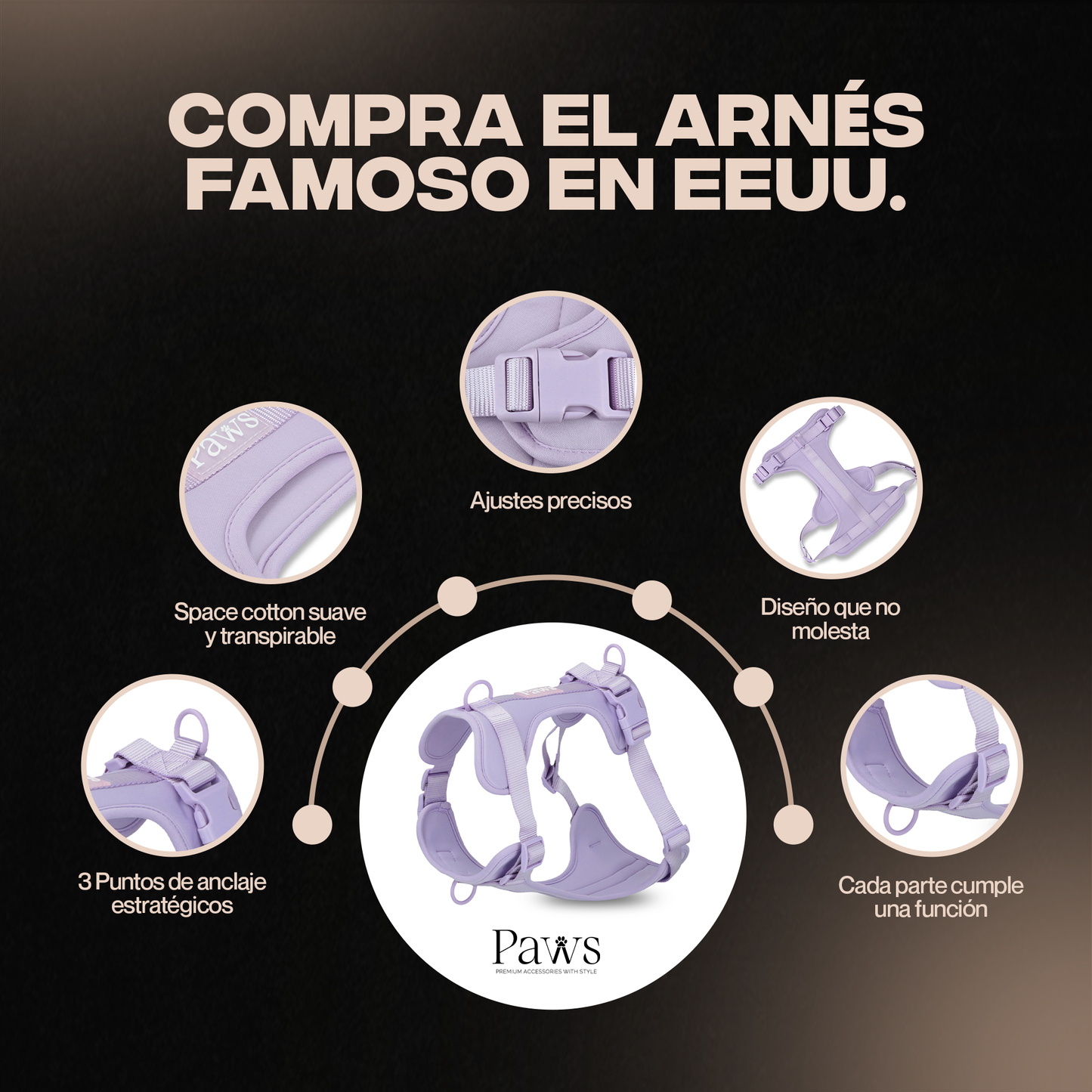 Paws-Ads-design-01 (1).png__PID:e33c758f-faa3-44e4-86e0-658ebccaa39a