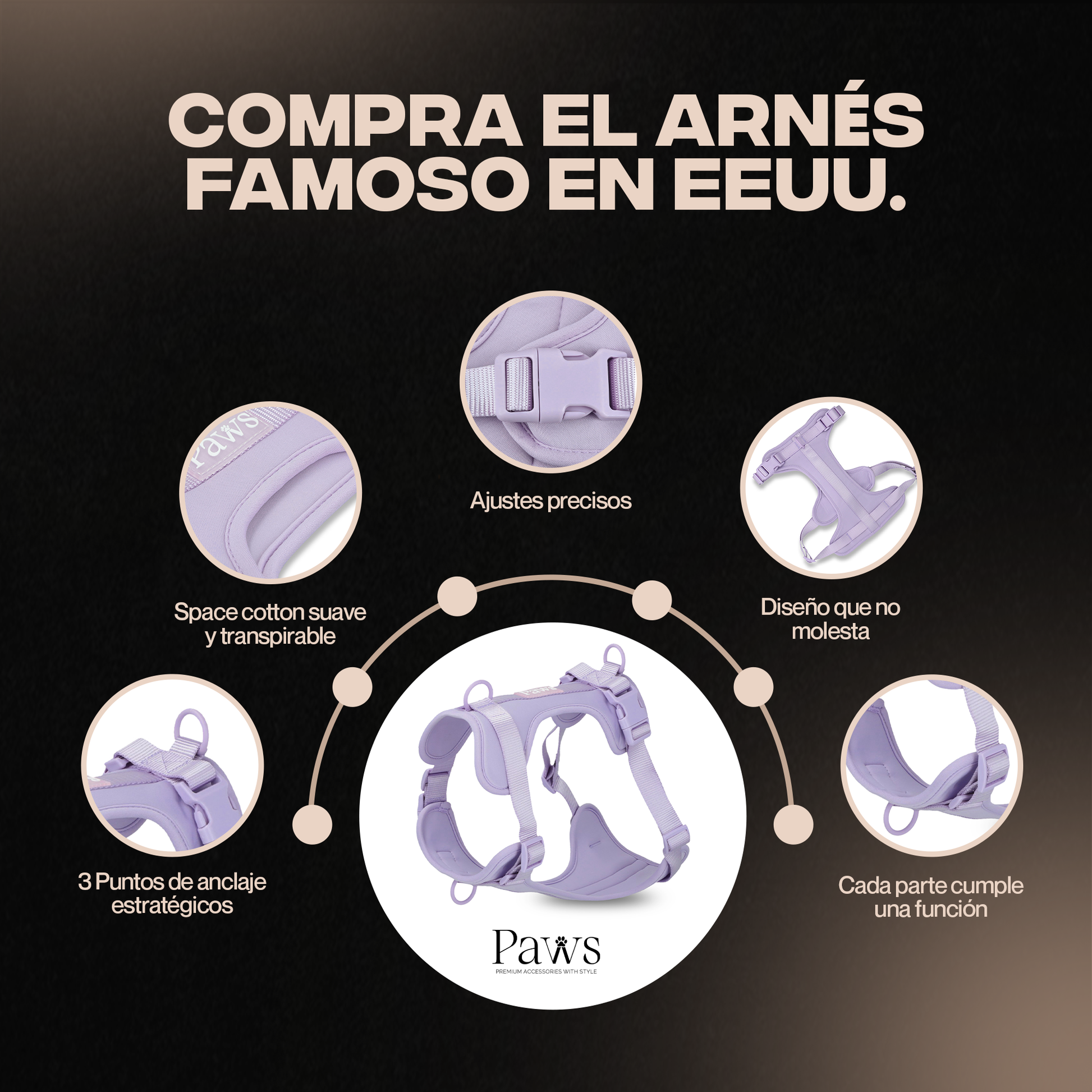 Paws-Ads-design-01 (1).png__PID:e33c758f-faa3-44e4-86e0-658ebccaa39a