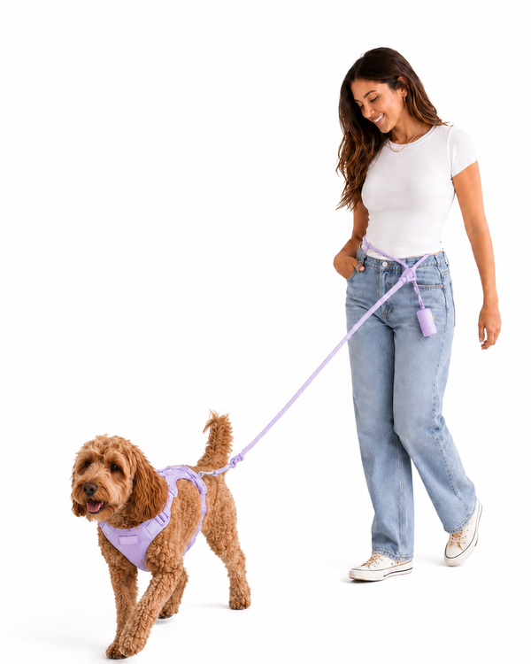 Modelo paseando perrito con Correa Manos Libres Paws color lila