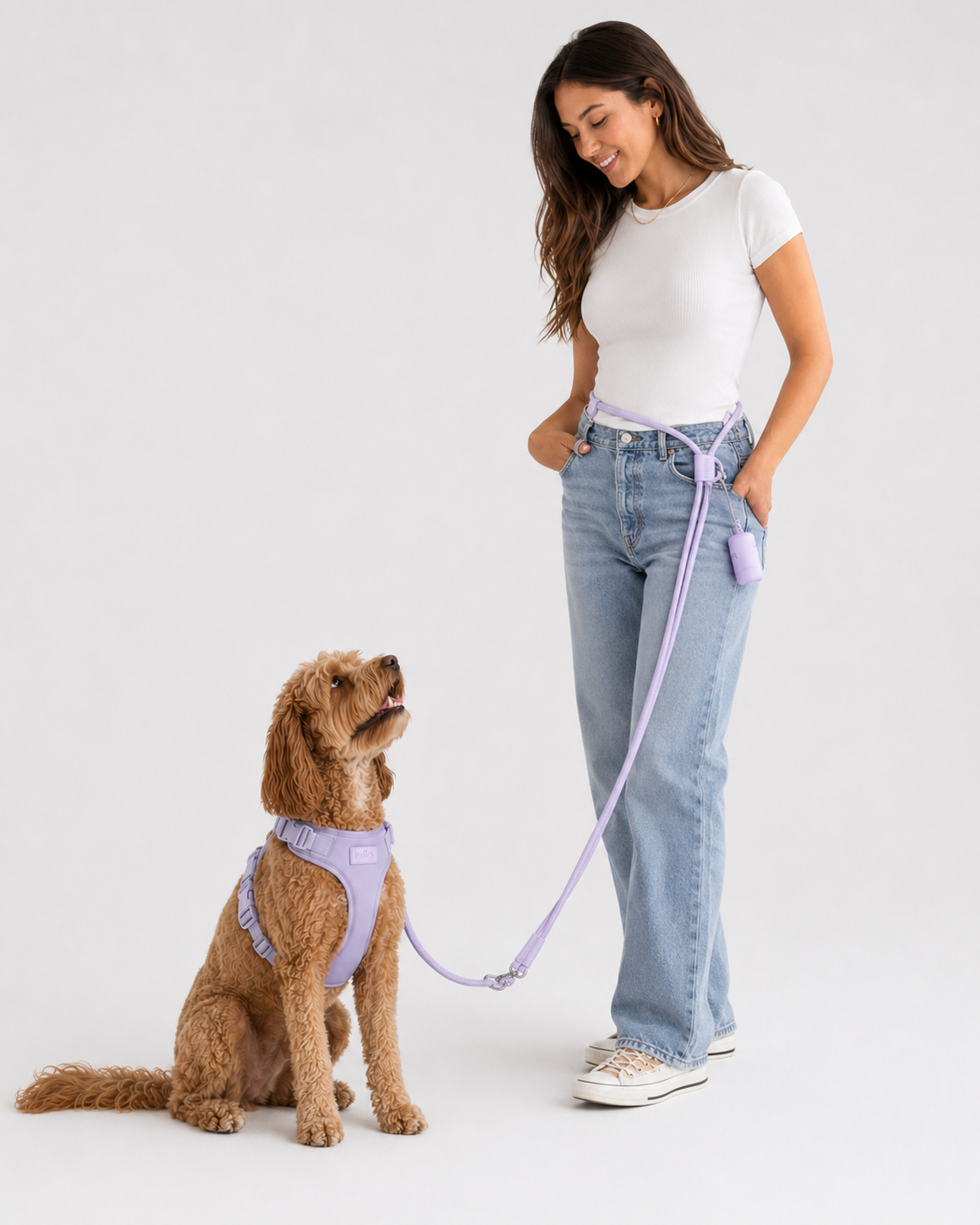 Correa Circular Paws - lilafinal3.png