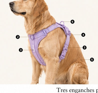 Anatomía del arnés Paws