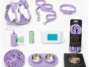 Set Paws completo coordinado en lila